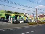 （有）桂自動車・コアラクラブ高知西店店舗画像